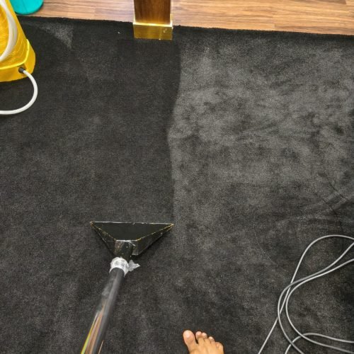 ZS Cleaning (11)